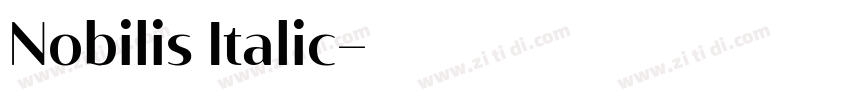 Nobilis Italic字体转换